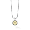 Aries Zodiac Charm Necklace