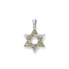 Large Two-Tone Star of David Amulet