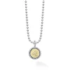 Leo Zodiac Charm Necklace
