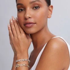 Link Bracelet Gift Set