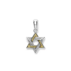 Small Two-Tone Star of David Amulet