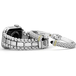 Stainless Steel Smart Caviar Gift Set