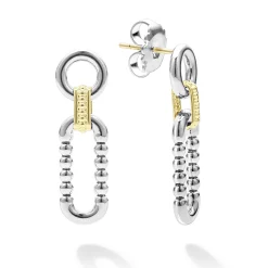 Two-Tone Link Drop Earrings