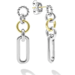 Two-Tone Link Drop Earrings
