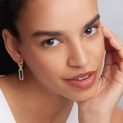 Two-Tone Link Drop Earrings