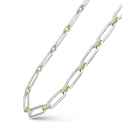 Two-Tone Link Necklace