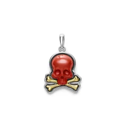 Two-Tone Red Jasper Skull and Bones Pendant