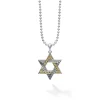 Two-Tone Star of David Amulet Necklace