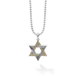 Two-Tone Star of David Amulet Necklace