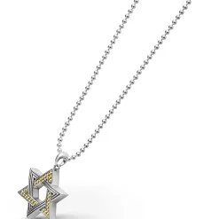 Two-Tone Star of David Amulet Necklace